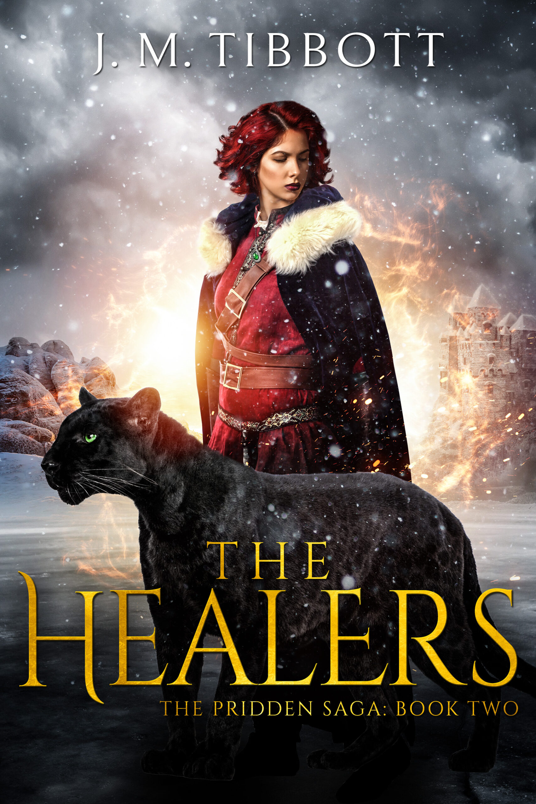 The Healers: The Pridden Saga: Book 2
